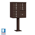 Cluster Mailbox 12 Unit USPS Approved CBU - with Pedestal